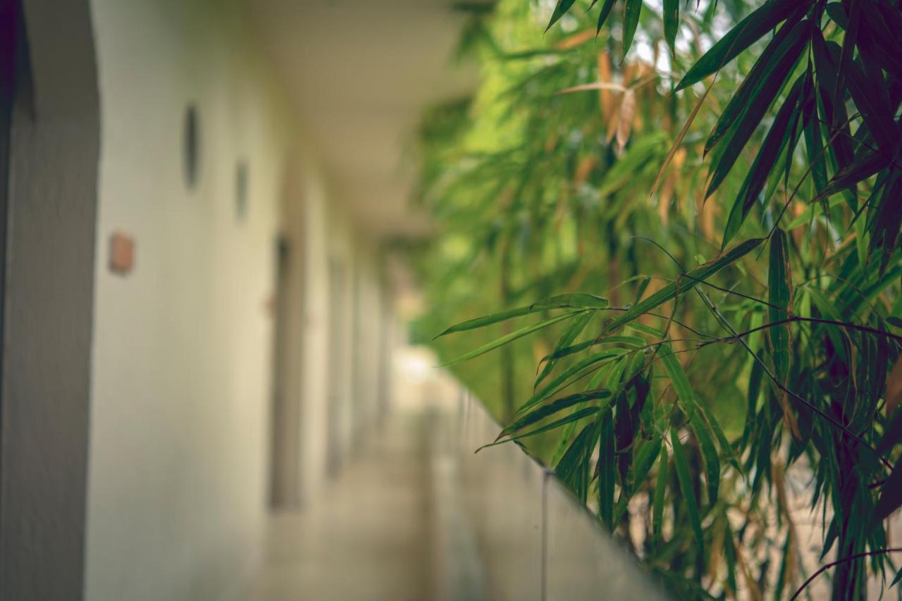 Loa Tolu By Bernalo Hotels Exterior foto